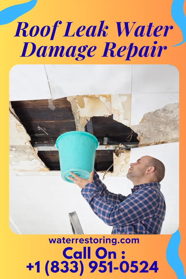 Roof Leak Water Damage Repair in Haines, OR